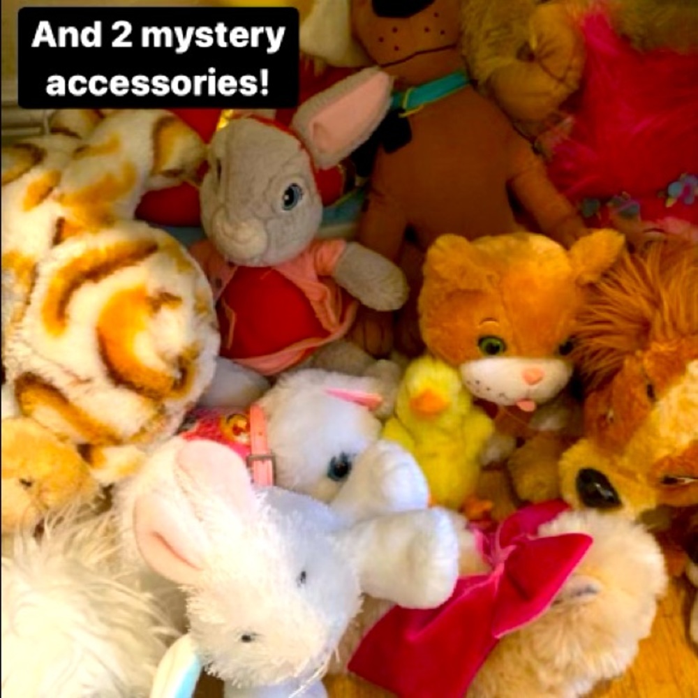 Stuffed animal mystery box!
